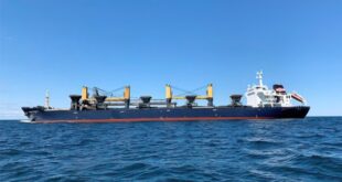 Bulker Algoma Verity