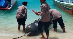 Chinese branded drone