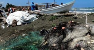 Oiled nets, Veracruz, March 27 (Jorge Serrano / Greenpeace)
