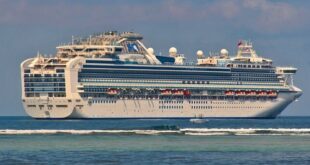 Sapphire Princess (file image courtesy Sabung Hamster / CC BY SA 4.0)