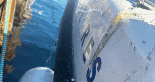 The collision caused extensive hull damage above the waterline (Marine Rescue NSW)