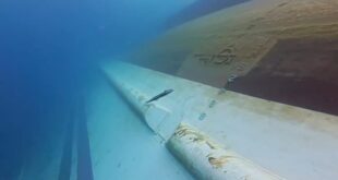 A fish explores the upside-down hull of Virgo Transport 8 (Basarnas)