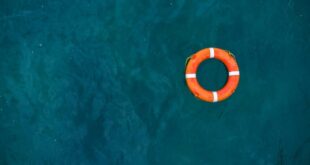 Life ring