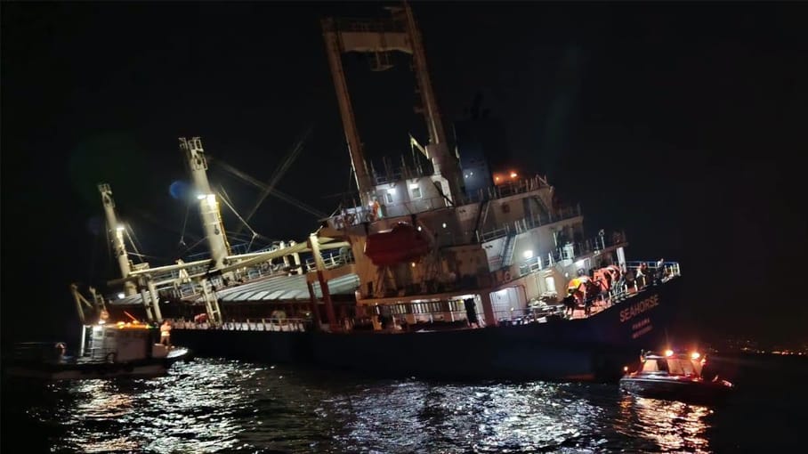 seahorse-listing-off-lebanon listing cargo ship
